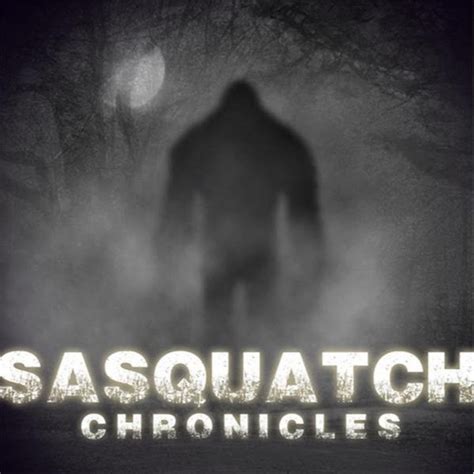 sasquatch chronicles|sasquatch chronicles pictures.